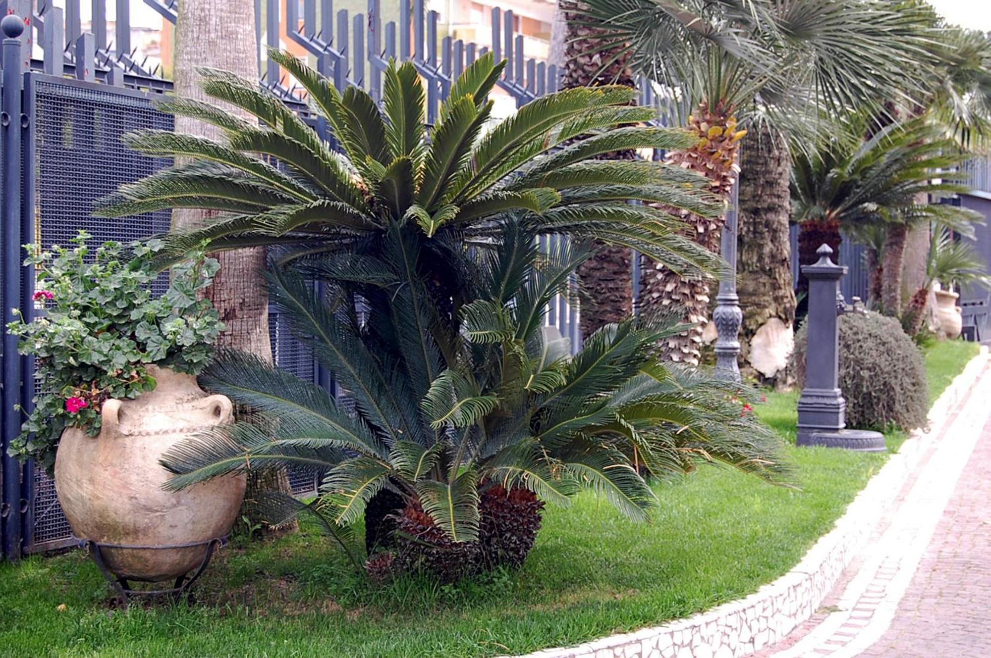 Hotel Ristorante Donato Calvizzano Esterno foto